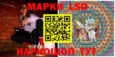 крисы Кулебаки