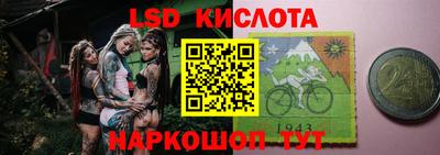 крисы Кулебаки