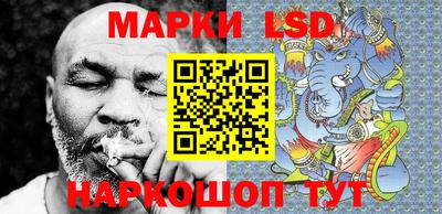 крисы Кулебаки