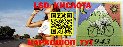 крисы Кулебаки