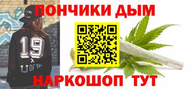 крисы Кулебаки