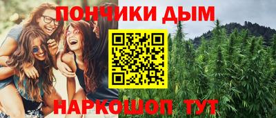 крисы Кулебаки