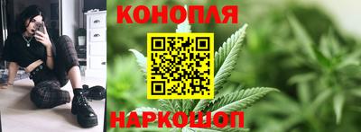 крисы Кулебаки