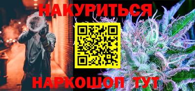 крисы Кулебаки