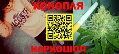 индика Кунгур