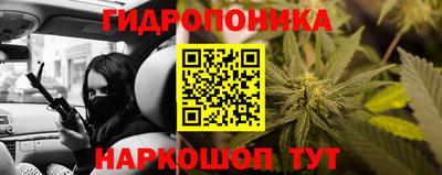 крисы Кулебаки