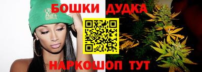 крисы Кулебаки