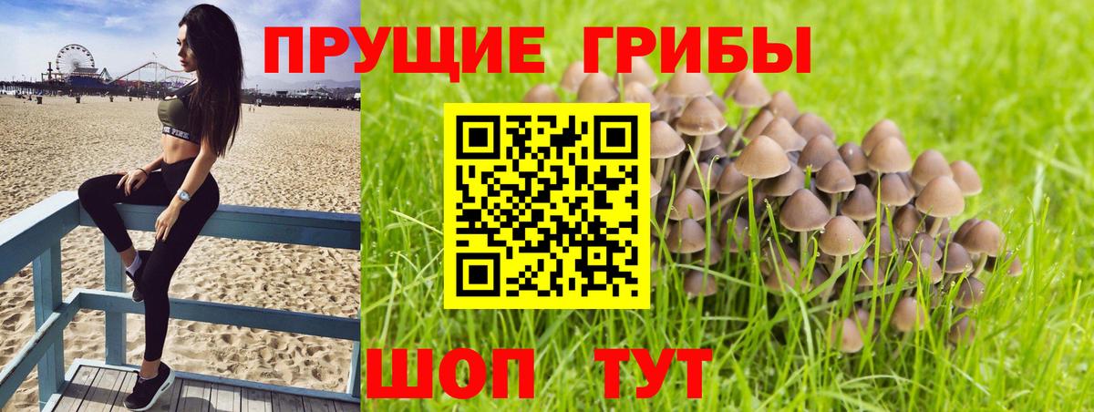 Воскресенск  Псилоцибиновые грибы мицелий  Вход с VPN  Галлюциногенные грибы Psilocybine cubensis 